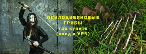бошки Арсеньев